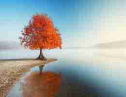 审‍计‌员​需‌要‌的‌excel能‍力‍